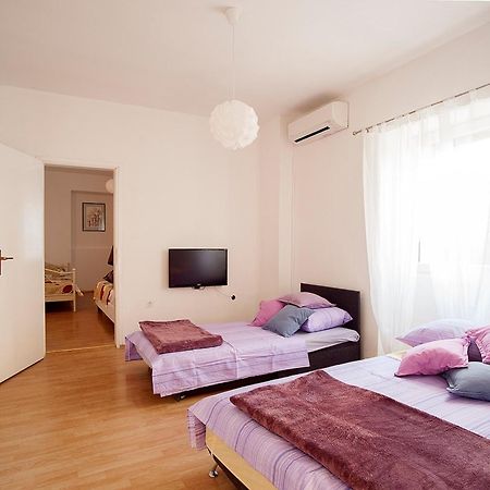שיבניק Dalmatian Garden - Free Parking - City Centre מראה חיצוני תמונה