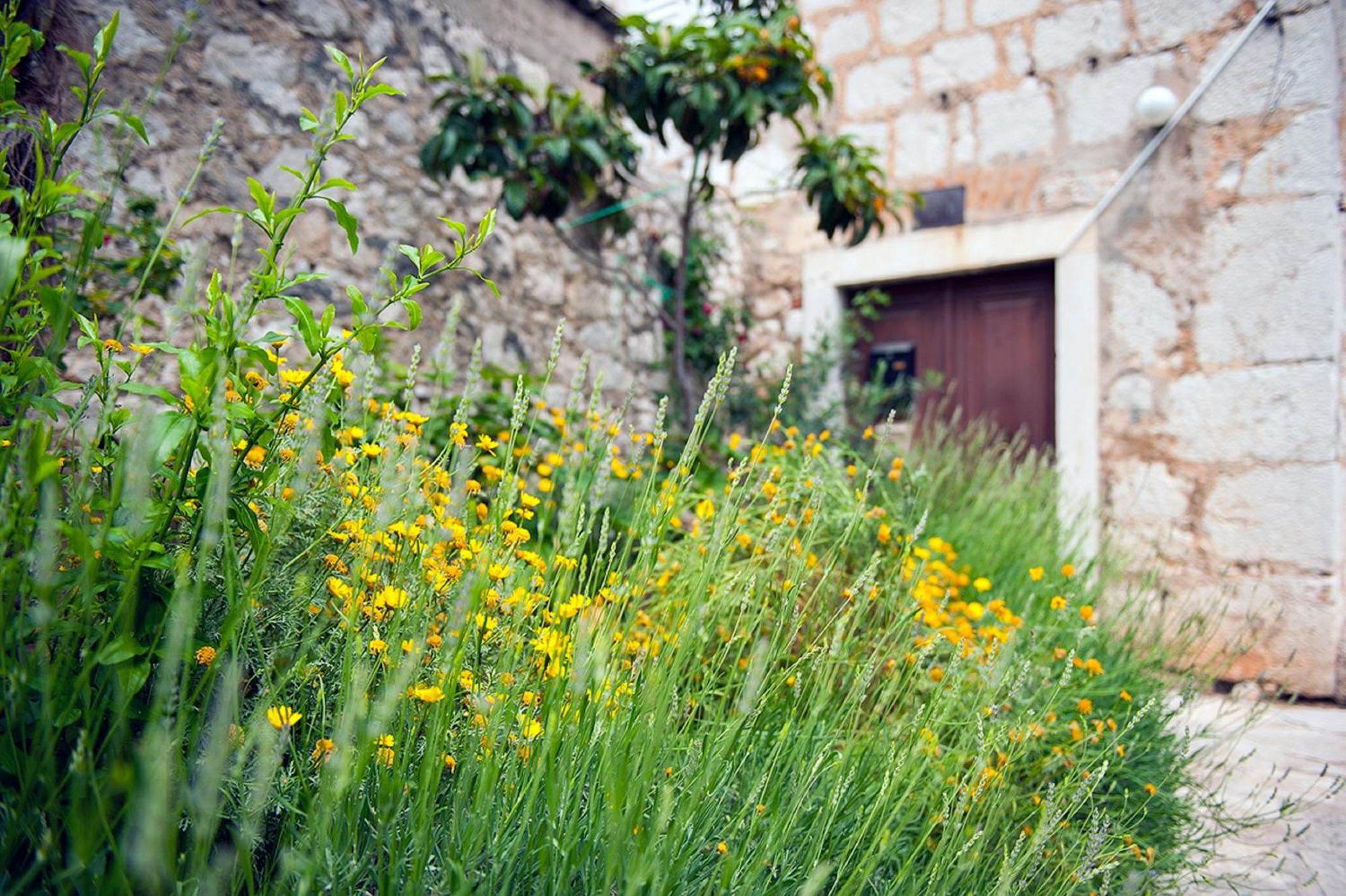 שיבניק Dalmatian Garden - Free Parking - City Centre מראה חיצוני תמונה